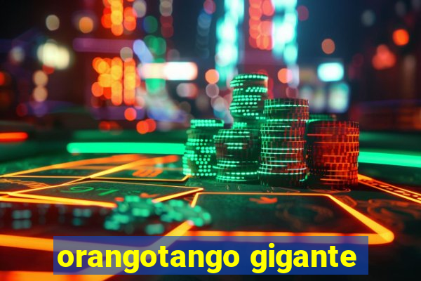 orangotango gigante